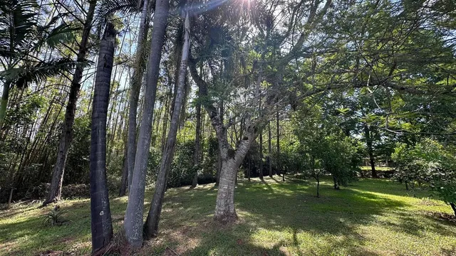 Área rural