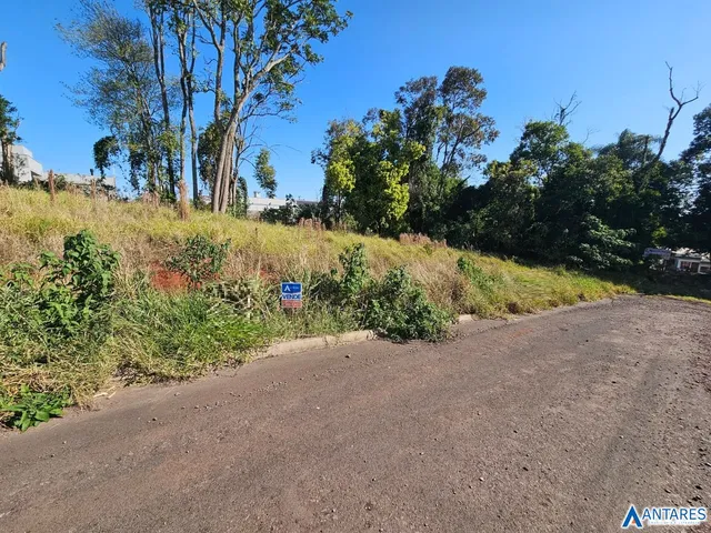 Terreno, foto 2