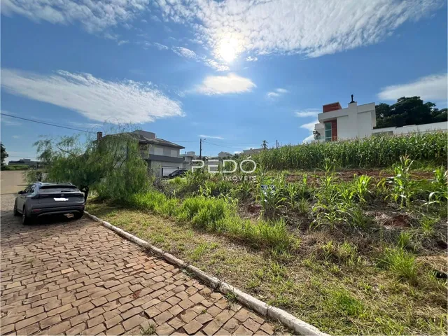 Vista da rua e terreno com vegetação no fundo.