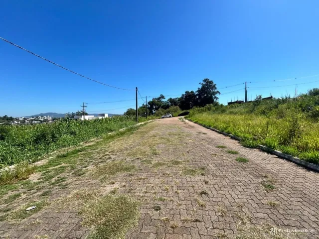 Terreno, foto 3