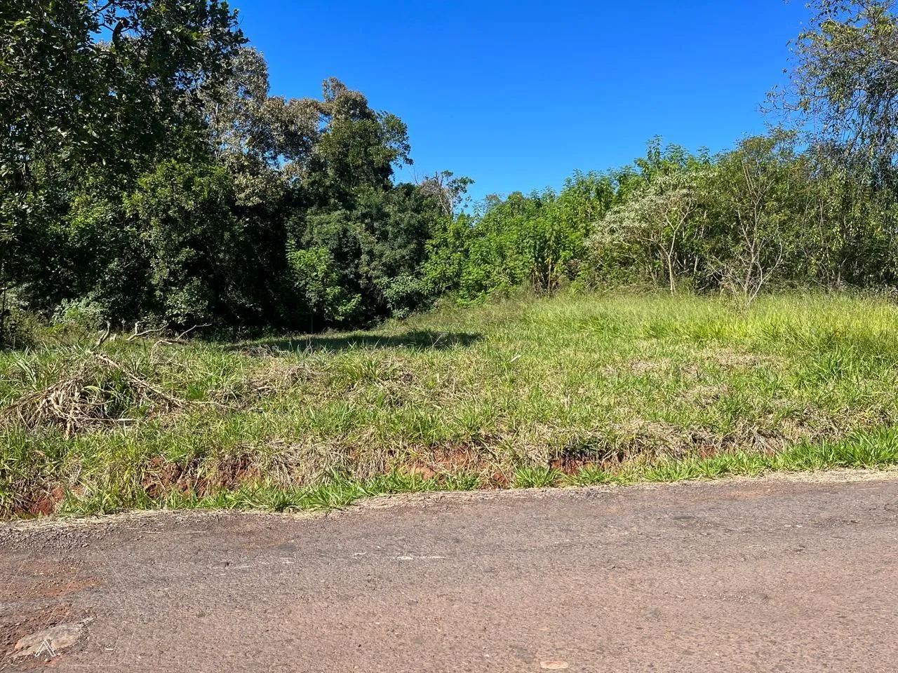 Terreno, foto 1