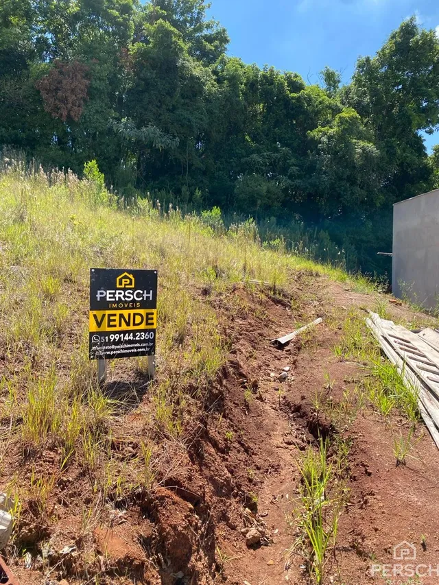Terreno, foto 3