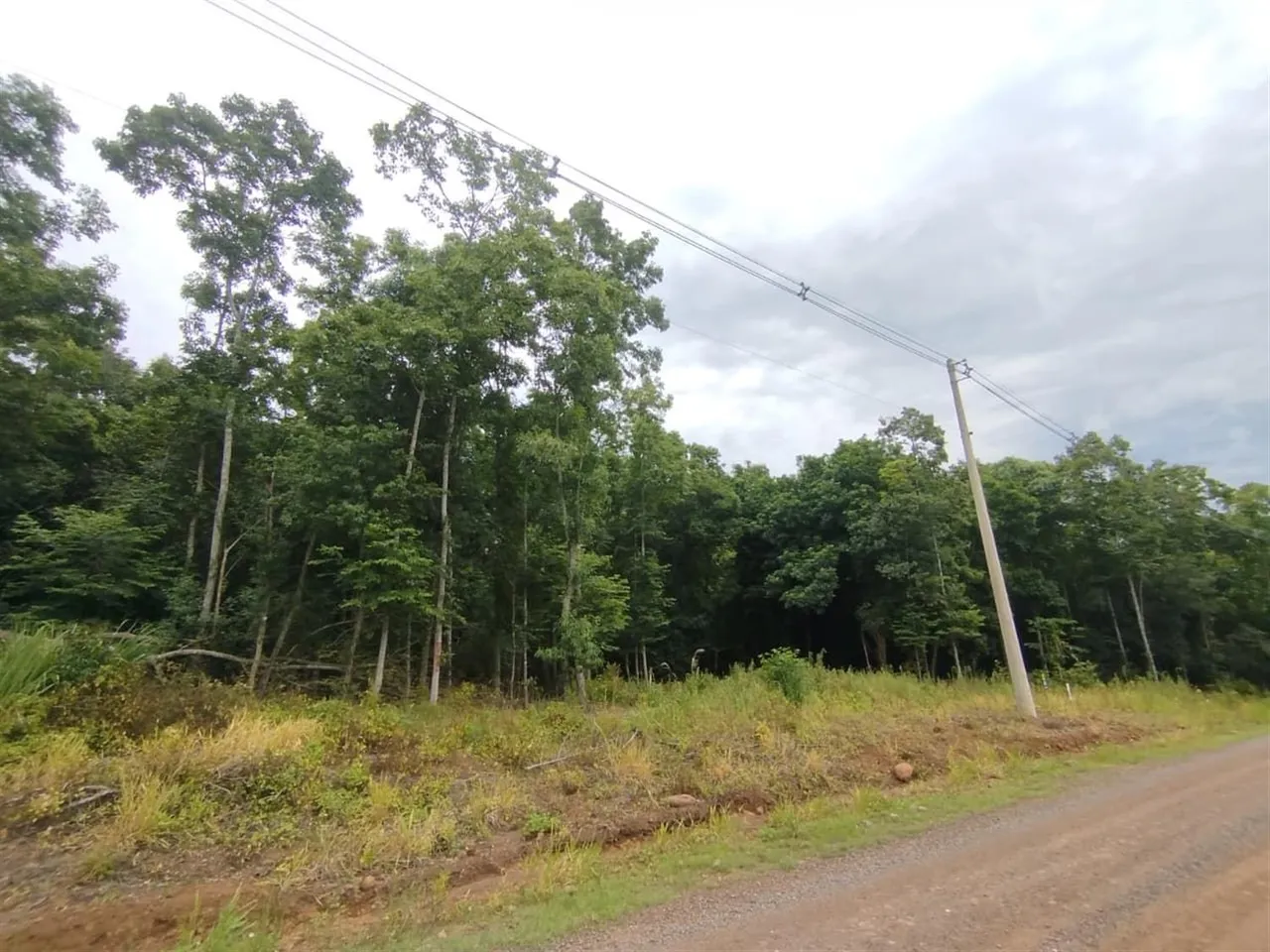 Área rural, foto 1