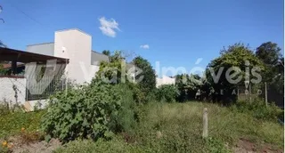 A vista externa da propriedade mostra vegetação densa na frente.