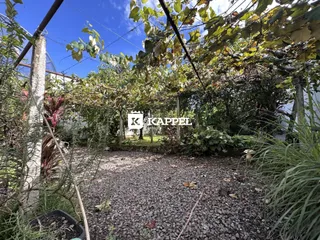 Vista de um jardim externo com vegetação densa e cascalho na propriedade.