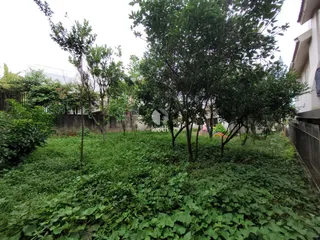 Terreno, foto 4