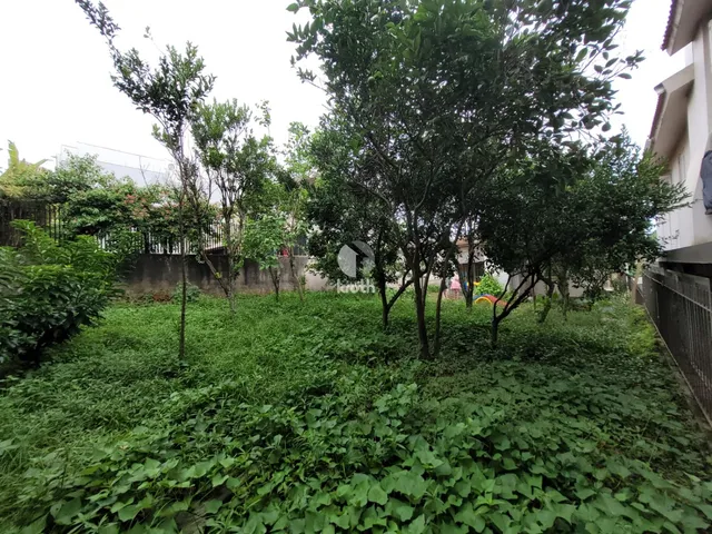 Terreno, foto 4