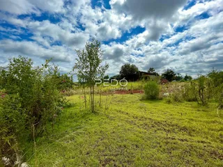 Campo gramado com vegetação densa e árvores ao fundo.