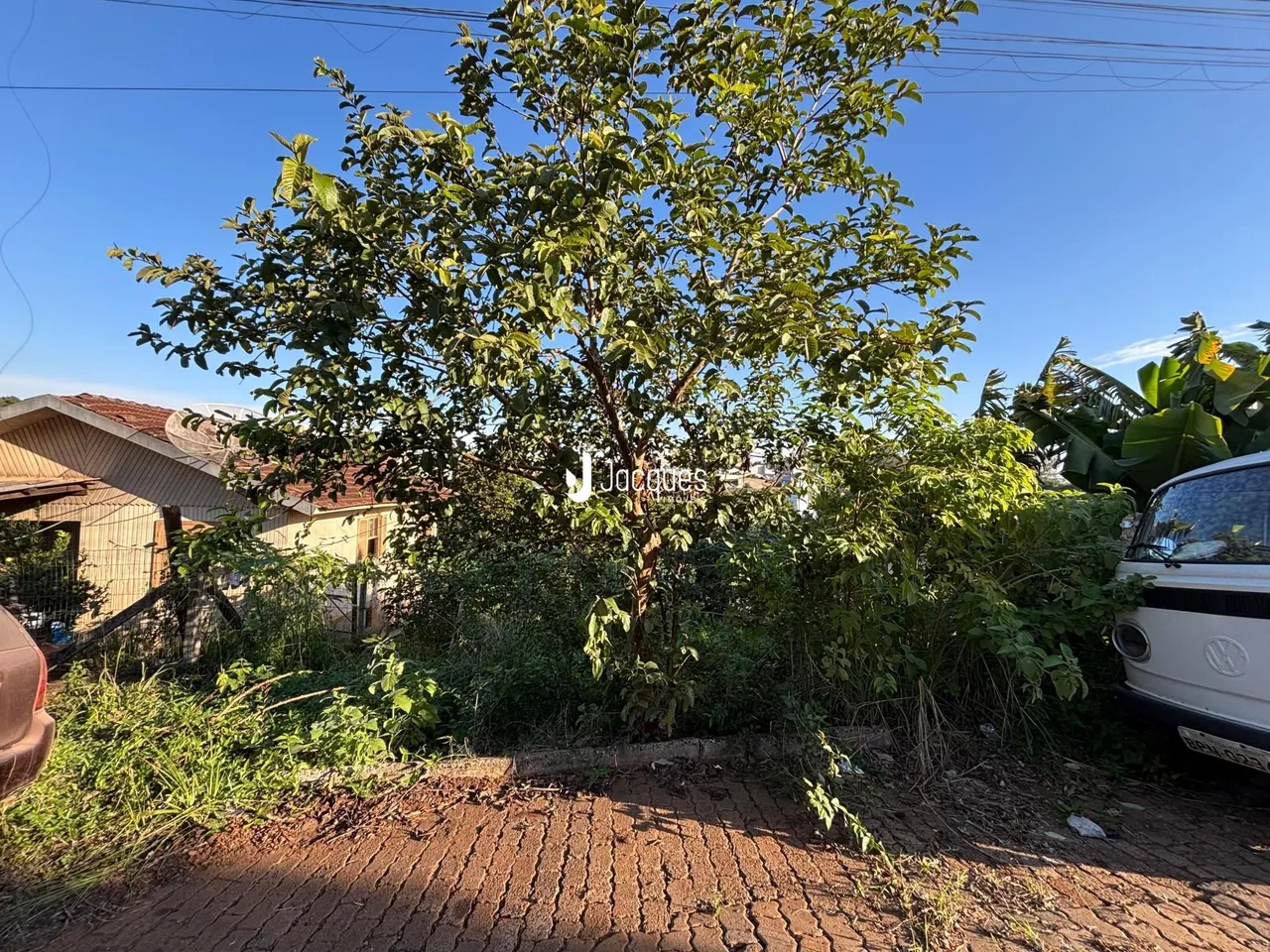 Terreno, foto 1