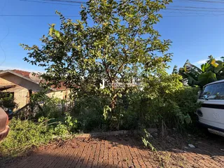 Vista da propriedade com vegetação densa em primeiro plano.
