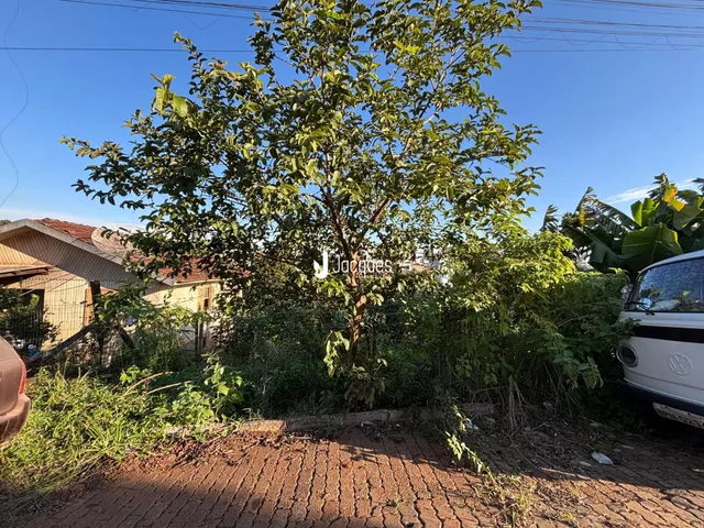 Terreno