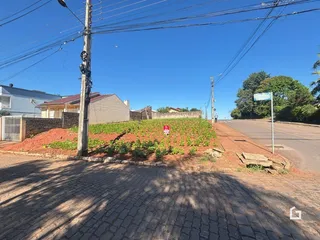 Vista da propriedade em Lajeado, Brasil, mostrando o limite da rua e a vegetação.