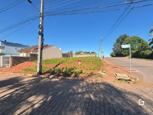 Vista da propriedade em Lajeado, Brasil, mostrando o limite da rua e a vegetação.