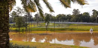 Vista de uma área alagada com vegetação ao fundo.