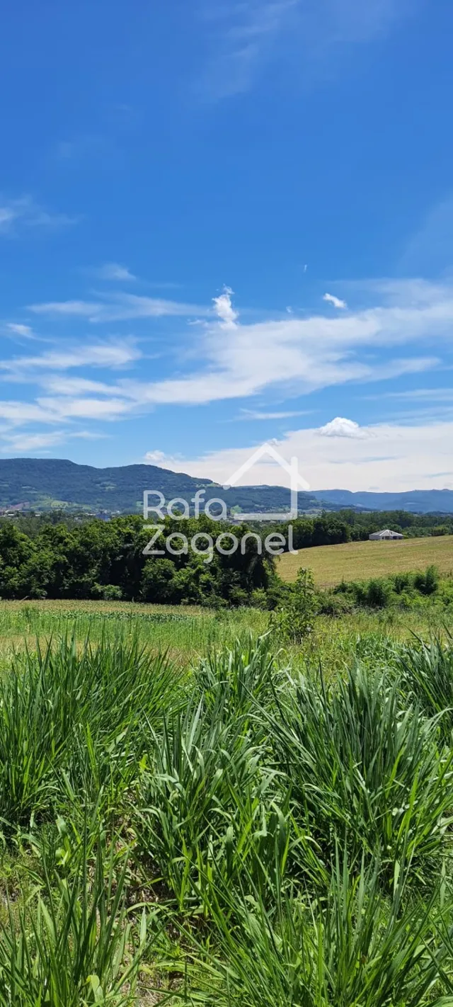 Terreno, foto 2