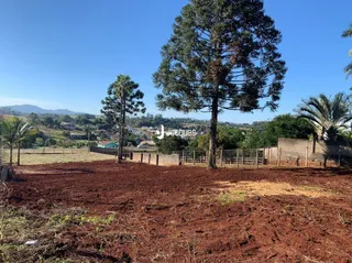 Vista de um terreno aberto com vegetação e árvores em Lajeado.