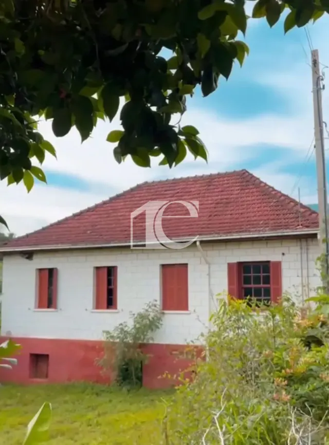 Área rural com 3 dormitórios, foto 3