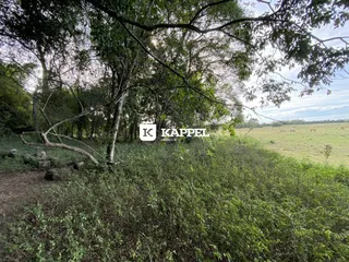 Área rural com 3 dormitórios, foto 41