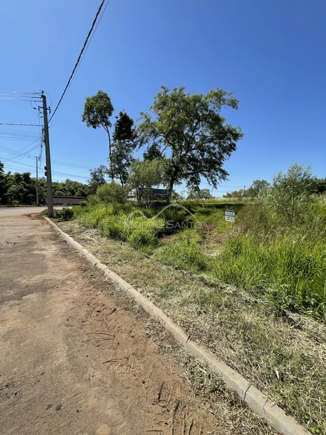 Terreno, foto 2