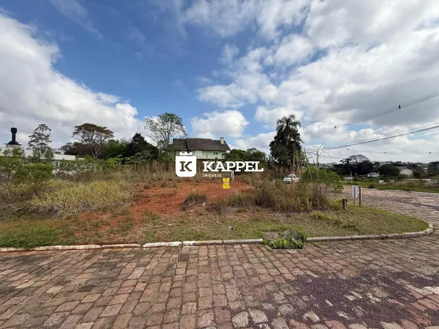 Vista externa de uma propriedade com vegetação e um prédio ao fundo.