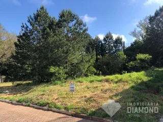 Terreno, foto 2