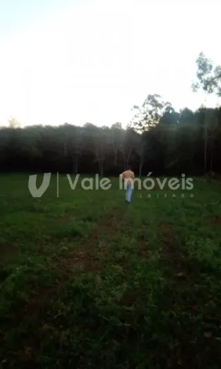 Área rural, foto 16