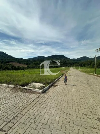 Terreno, foto 4