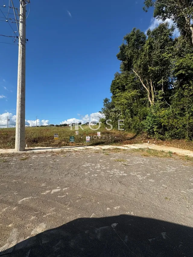 Terreno, foto 1