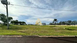 Terreno, foto 1