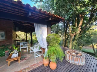 Área externa de madeira com vegetação e plantas.