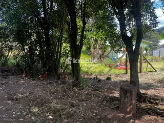 Terreno, foto 16