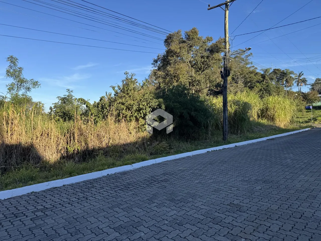 Vista da propriedade em Lajeado, Brasil, mostrando uma estrada e vegetação densa.