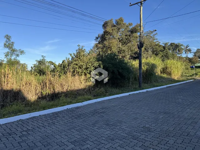 Vista da propriedade em Lajeado, Brasil, mostrando uma estrada e vegetação densa.