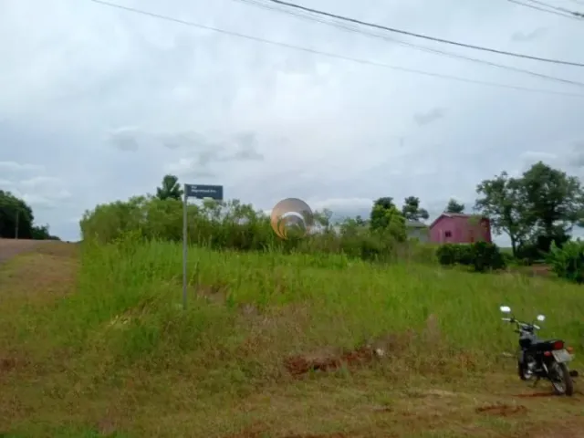 Terreno, foto 3