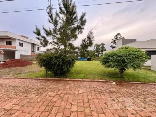 Terreno, foto 2