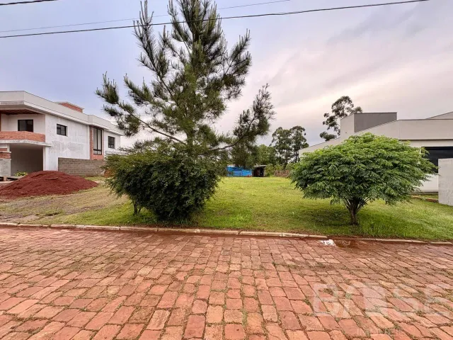 Terreno, foto 2