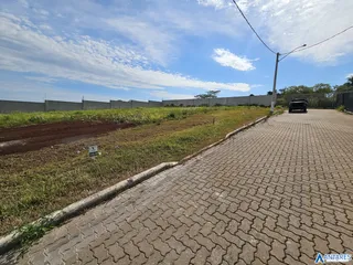 Terreno, foto 3