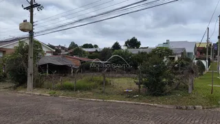 Terreno, foto 7