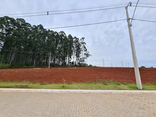 Terreno, foto 4