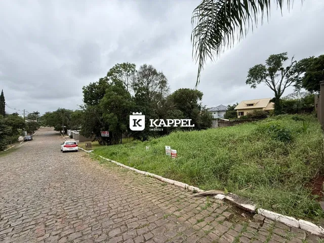 Terreno, foto 3