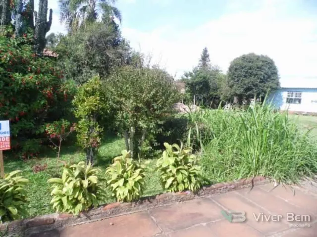 Terreno, foto 3