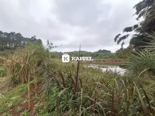 Vista de uma área natural com vegetação densa e um corpo d'água.