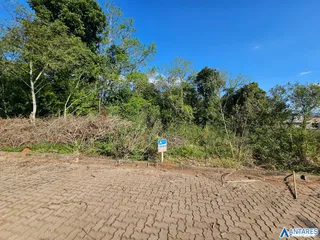 Terreno, foto 3