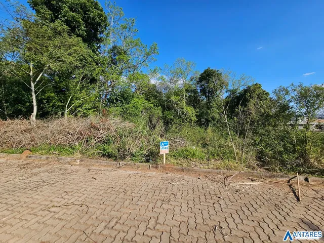 Terreno, foto 3