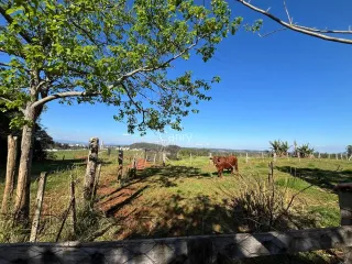 Área rural com 2 dormitórios, foto 13