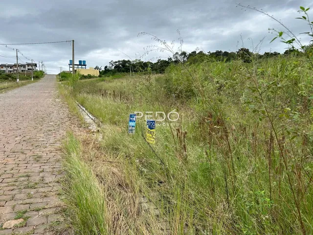Terreno, foto 2