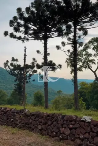 Área rural com 3 dormitórios, foto 6