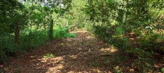 Área rural, foto 5