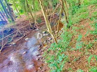 Terreno, foto 15