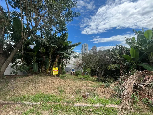 Paisagem externa de uma propriedade com vegetação densa e grama seca.